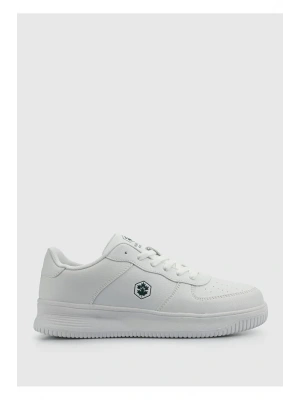 Lumberjack Finster Wmn 5 Pr 102016541 Beyaz 36-40