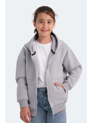 Slazenger Lekan ST24WC007-280 Eşofman Üst Taş Gri