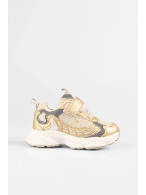 Vicco Tag Gold (22-25)