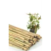 Bitki Destek Çubuğu Bambu | 90 cm 15 Adet Kamış Kargı Bitki Destek Çubukları