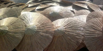 HASIR ŞEMSİYE NEDİR? NEDEN KULLANILMALIDIR?