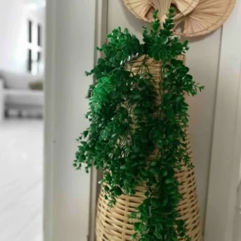 El Yapımı Hasır Örgü Vazo Pampas Vazosu Çin Vazosu Çiçeklik