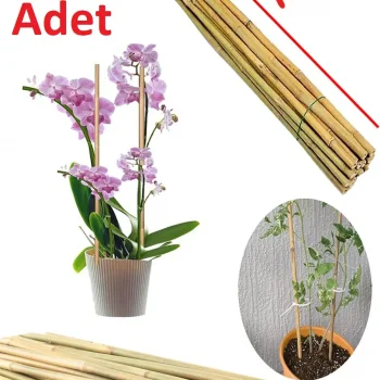 Bitki Destek Çubuğu Bambu | 90 cm 15 Adet Kamış Kargı Bitki Destek Çubukları