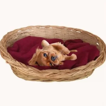 Hasır Kedi Köpek Yatağı 55 cm Genişlik