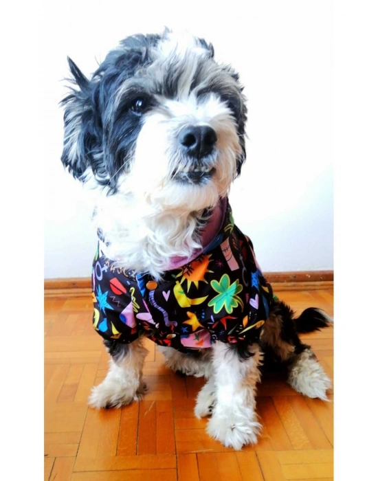Magic Kapüşonlu Içi Polarlı Köpek Yağmurluğu Dar Kalıp