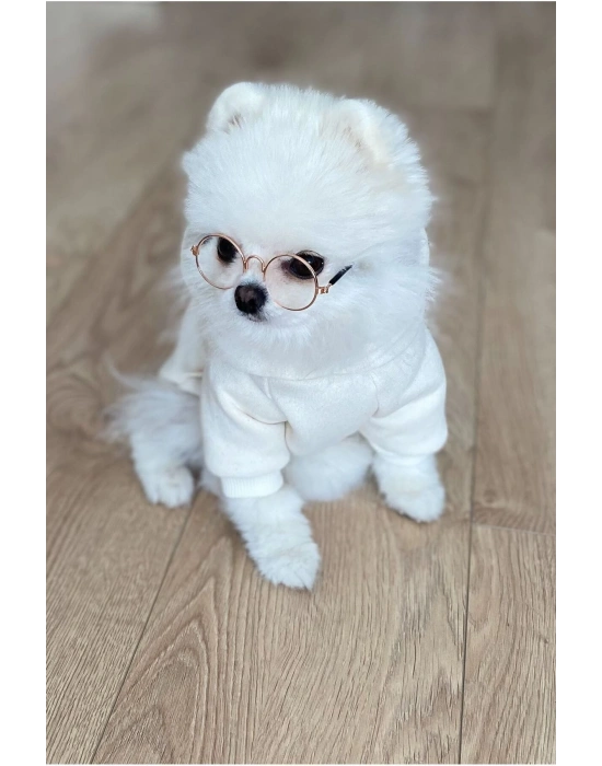 Beyaz Baskılı Köpek Sweatshirt