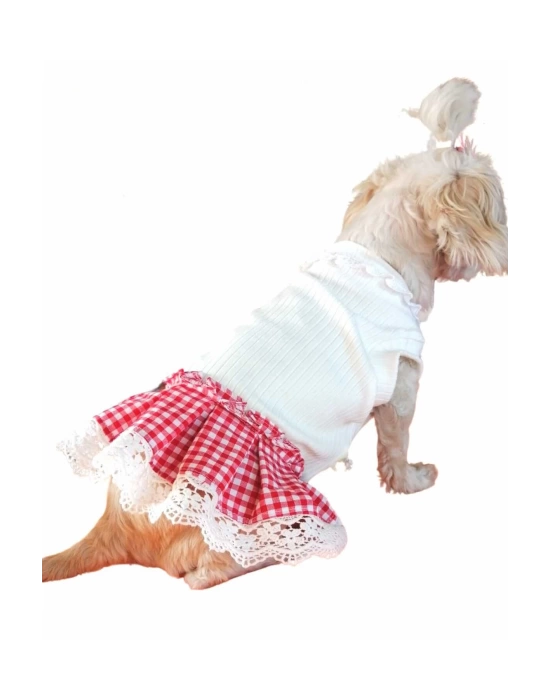 Dantel Detaylı Etekli Kırmızı Beyaz Köpek Kıyafeti