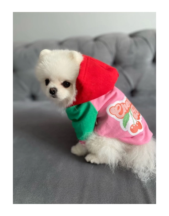 Pembe Vişne Kapüşonlu Köpek Sweatshirt