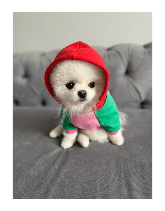 Pembe Vişne Kapüşonlu Köpek Sweatshirt