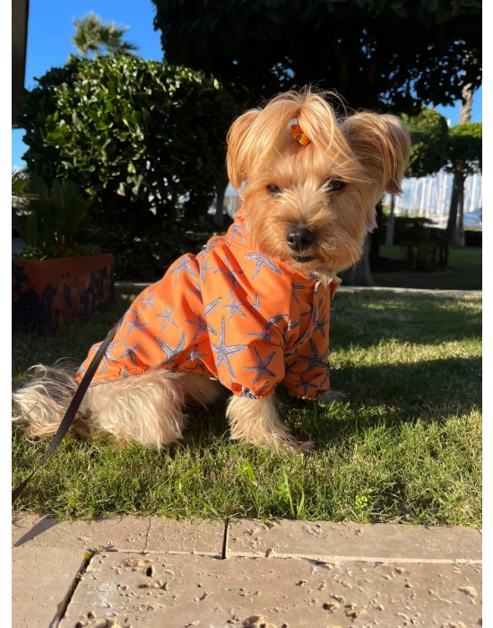 Deniz Yıldızı Baskılı Turuncu Köpek Yağmurluğu