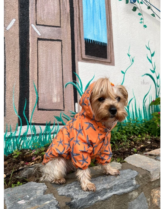 Deniz Yıldızı Baskılı Turuncu Köpek Yağmurluğu