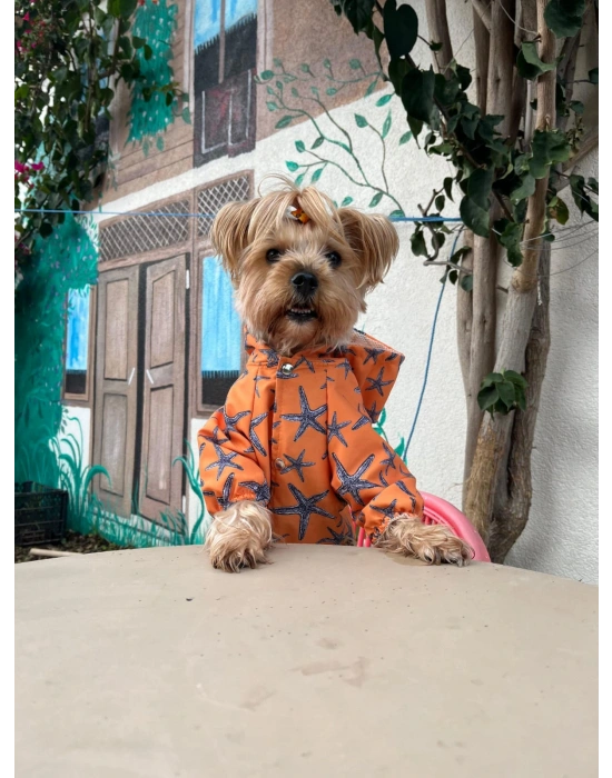 Deniz Yıldızı Baskılı Turuncu Köpek Yağmurluğu