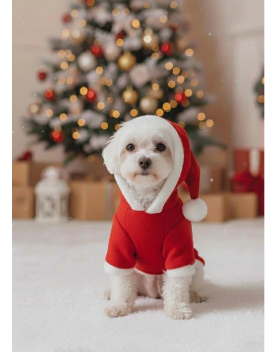 Kırmızı Yılbaşı Temalı Kapüşonlu Kedi Köpek Sweatshirt – Merry Christmas