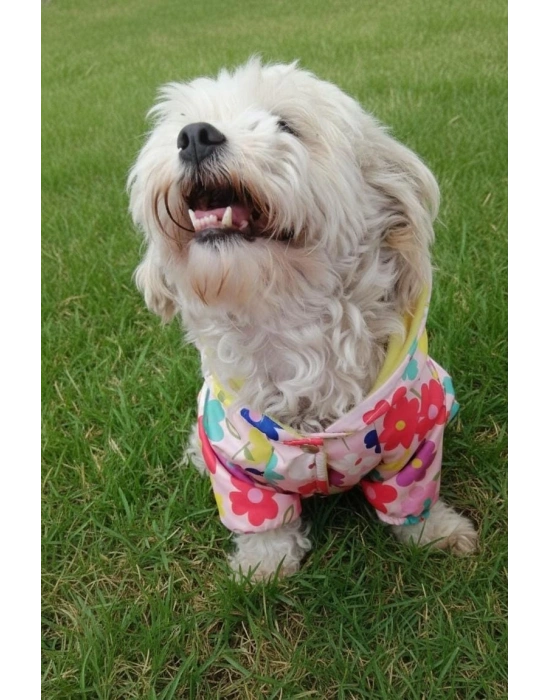 Renkli Çiçek Desenli Su Geçirmez Kedi Köpek Yağmurluğu