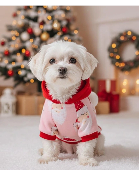 Yılbaşı Noel Baba Desenli Kapüşonlu Kedi Köpek Sweatshirt