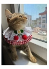 Kedi Köpek Boyunluk (kırmızı Pötikare Kiraz Krem Dantel)