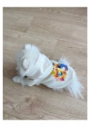 Beyaz Baskılı Köpek Sweatshirt
