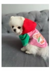 Pembe Vişne Kapüşonlu Köpek Sweatshirt
