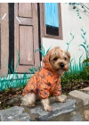 Deniz Yıldızı Baskılı Turuncu Köpek Yağmurluğu
