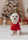Kırmızı Yılbaşı Temalı Kapüşonlu Kedi Köpek Sweatshirt – Merry Christmas