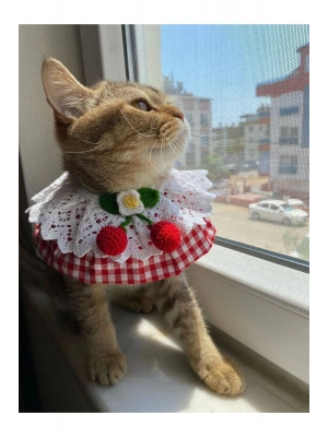 Kedi Köpek Boyunluk (kırmızı Pötikare Kiraz Krem Dantel)