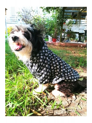 Gri Yıldız Desenli %100 Pamuk Kumaş Kedi Köpek Kıyafeti & Elbisesi Kapüşonlu Polar