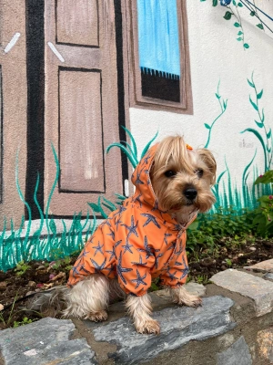 Deniz Yıldızı Baskılı Turuncu Köpek Yağmurluğu