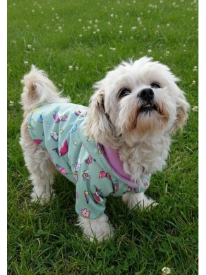 Unicorn Desenli Peluş Kapüşonlu Köpek Yağmurluğu