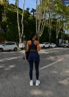 Lacicert Polo Ribana Dalgıç Üçlü Takım