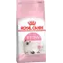 Royal Canin Kitten Yavru Kedi Maması 2 Kg