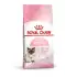 Royal Canin Anne ve Yavru Kedi Maması 2 Kg