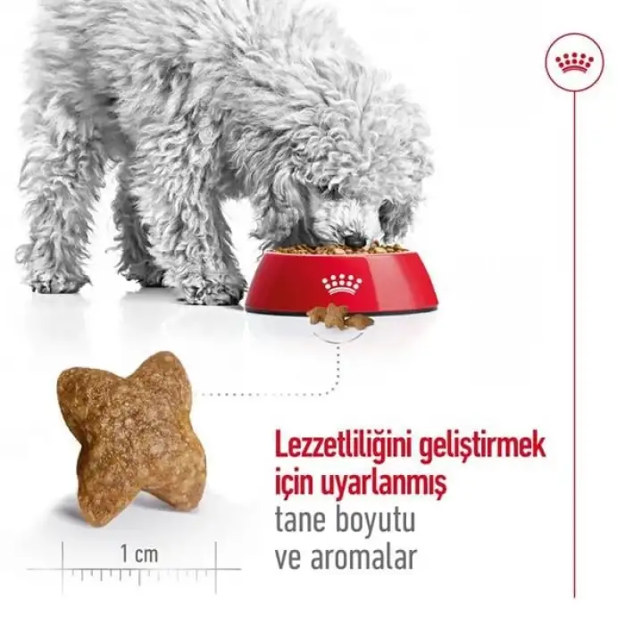 Royal Canin Mini Adult Küçük Irk Yetişkin Köpek Maması 2 Kg