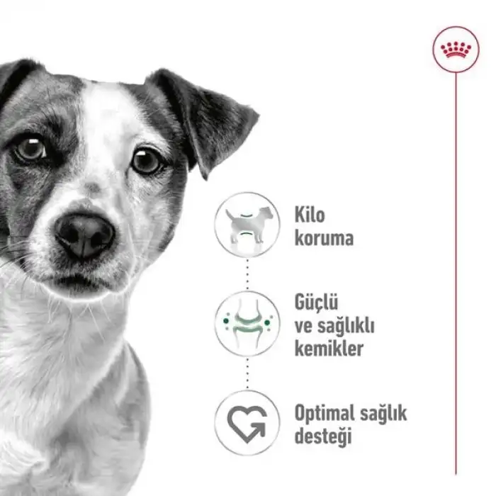 Royal Canin Mini Adult Küçük Irk Yetişkin Köpek Maması 2 Kg