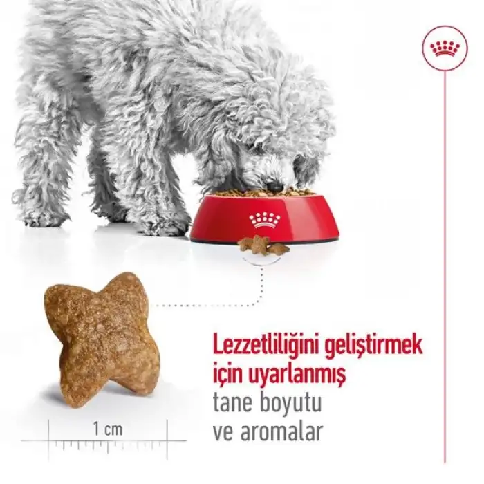 Royal Canin Küçük Irk Yetişkin Köpek Maması 8 Kg