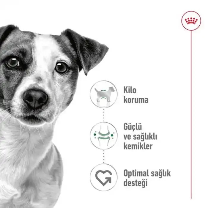 Royal Canin Küçük Irk Yetişkin Köpek Maması 8 Kg