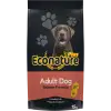 Econature Plus Yetişkin Kuru Köpek Maması Somonlu 15KG