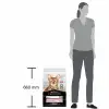 Pro Plan Delicate Digestion Yetişkin Kedi Maması Kuzu Etli 10 Kg