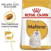 Royal Canin Maltese Terrier Adult Yetişkin Köpek Maması 1.5 Kg