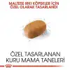 Royal Canin Maltese Terrier Adult Yetişkin Köpek Maması 1.5 Kg