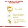 Royal Canin Maltese Terrier Adult Yetişkin Köpek Maması 1.5 Kg