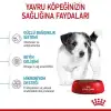 Royal Canin Mini Puppy Yavru Köpek Maması 2 Kg