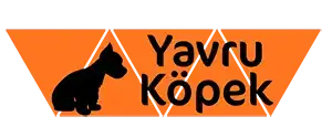 Yavru Köpek
