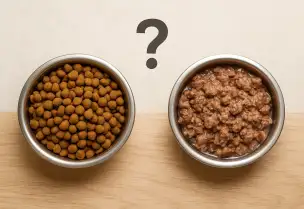 Hangi Mama En İyi Mama ?