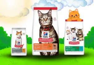 Hill’s Kedi Mamaları