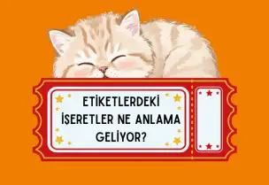 Kedi Mamalarında Etiket Okuma Rehberi: Uyarı İşaretleri, Kalite Standartları ve Son Kullanma Tarihi