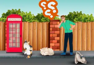 Kedi Sahiplenmeden Önce Bilmeniz Gerekenler