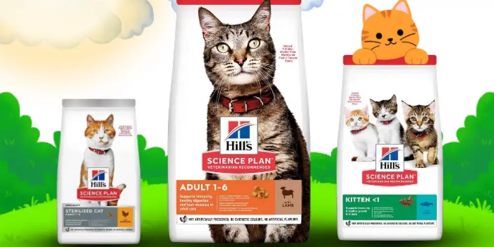 Hill’s Kedi Mamaları
