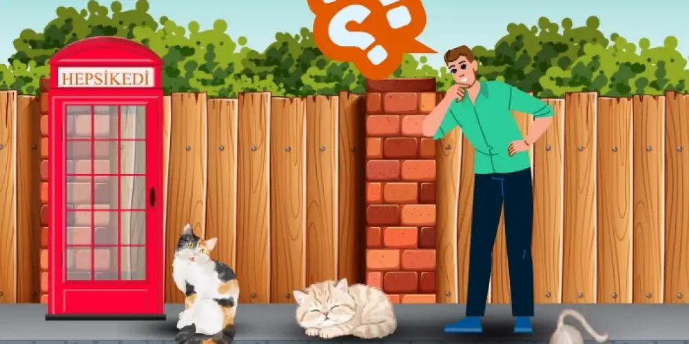 Kedi Sahiplenmeden Önce Bilmeniz Gerekenler