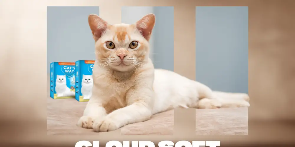 Cats Way Kedi Kumu Kaliteli mi ?