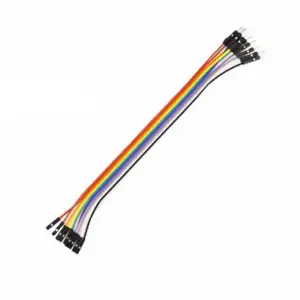 10 Pin Dişi - Erkek Jumper Kablo (20cm)